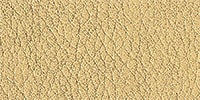 Sahara
