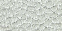 Lightgrey