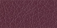 Aubergine