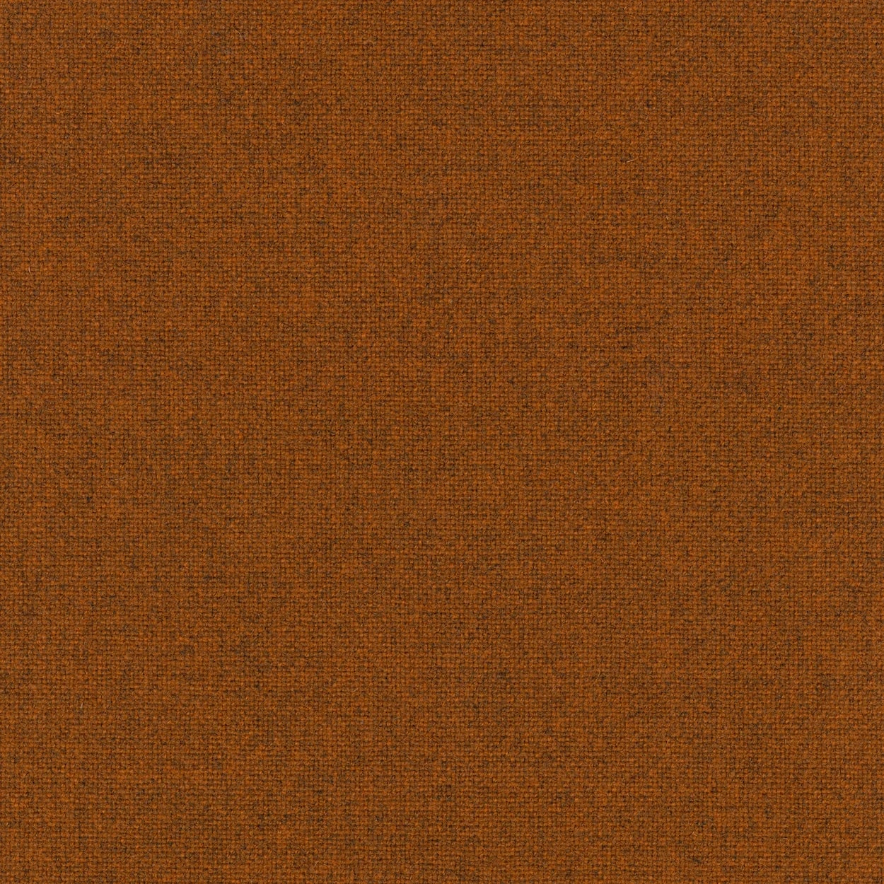 Nr. 511